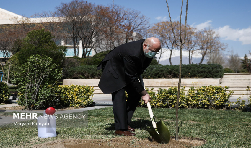  رئیس مجلس همزمان با روز درختکاری یک اصله نهال کاشت