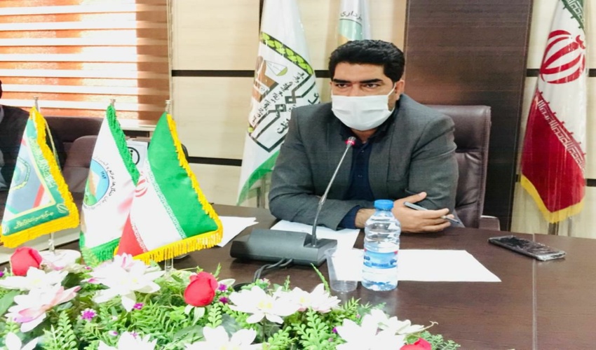 توزیع رایگان ۵۰ هزار اصله نهال در هفته منابع طبیعی در جنوب کرمان