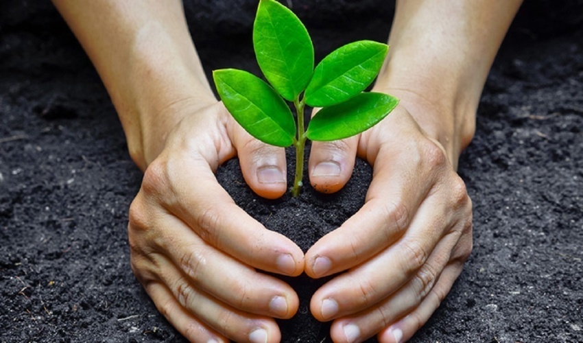 آذربایجان شرقی/آغاز کاشت 10 هزار اصله درخت در تبریز