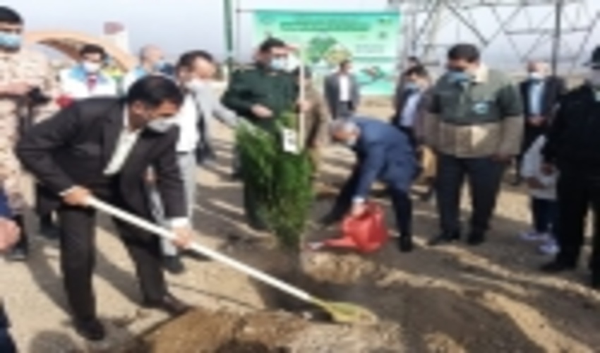 سمنان/غرس" نهال ایثار" به یاد شهدا به مناسبت هفته منابع طبیعی