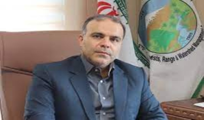 گیلان/ جنگل کاری 110 هکتاری در گیلان طی سال جاری