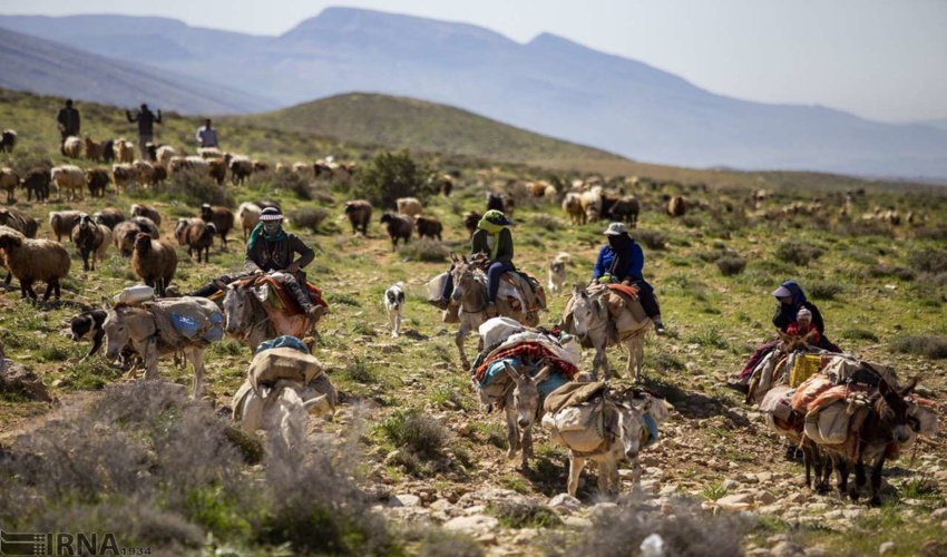 تبعات زیست‌محیطی کوچ بی‌موقع دام در مراتع 