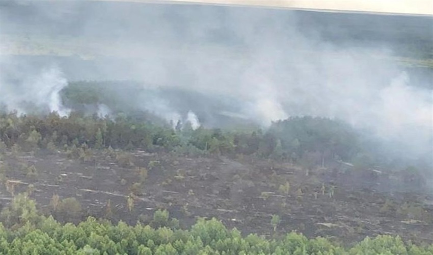 کاهش بیش از 400 درصد حریق در اراضی منابع طبیعی استان بوشهر 