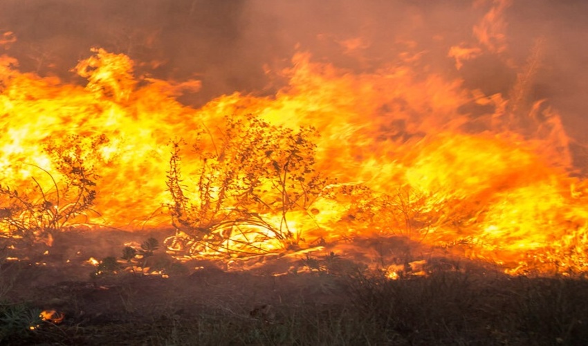 جنوب کرمان/ اطفاء حریق های احتمالی عرصه های منابع طبیعی نیازمند همکاری همه ارگان ها