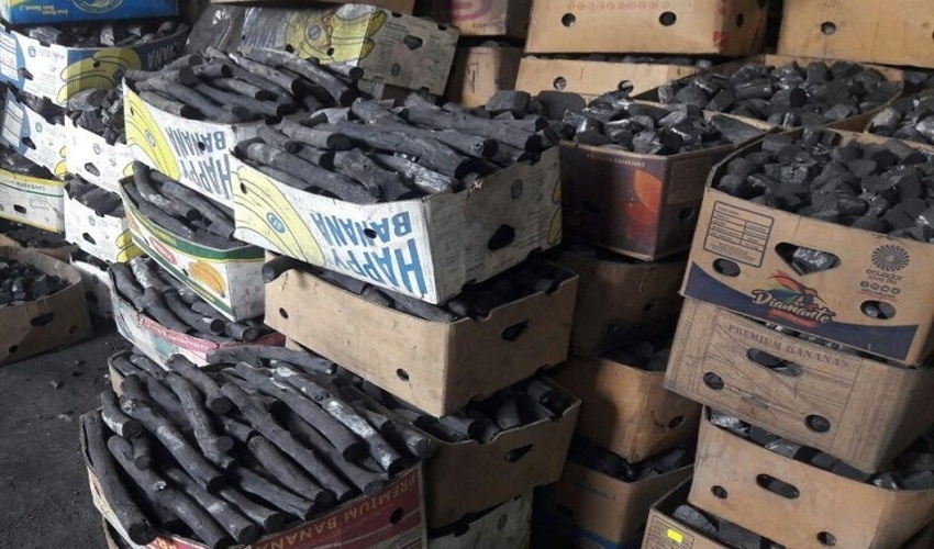 ۲ کارگاه غیرمجاز تولید زغال در استان قزوین شناسایی و پلمب شد