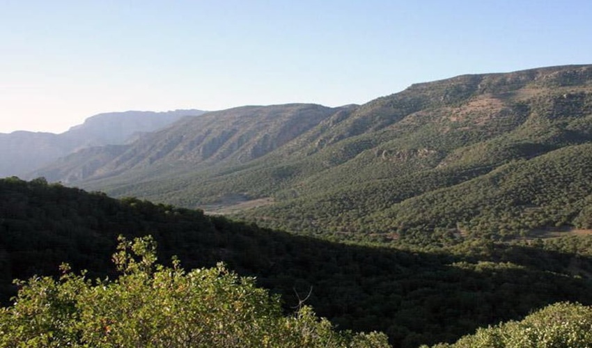 95 درصد اراضی ملی کرمانشاه سنددار شد