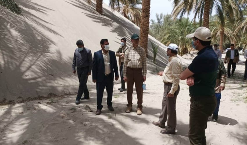 اختصاص ۳۰۰ میلیارد تومان اعتبار به کانون‌های بحرانی فرسایش بادی شرق کرمان