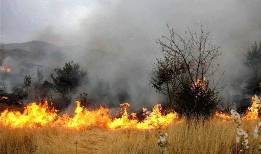 آذربایجان شرقی/اطفای آتش سوزی در بستر رودخانه ارس