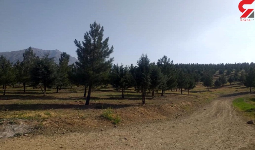 جلوگیری از نابودی 650 درخت توسط منابع طبیعی تهران / بیانی: شهرداری جانمایی جدیدی برای ایستگاه متروی پردیس انجام دهد