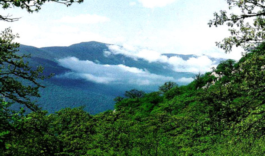 برگزاری پانزدهمین کنگره جهانی جنگلداری