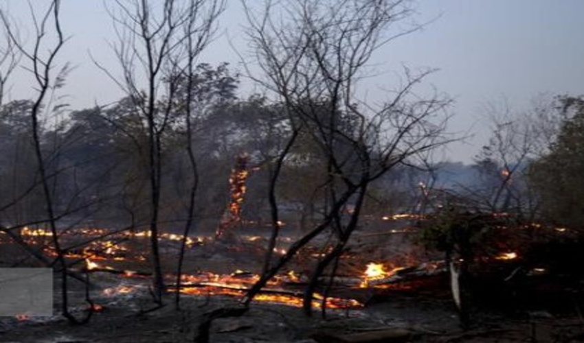 علت حریق‌ جنگل‌ها و مراتع خوزستان چیست؟