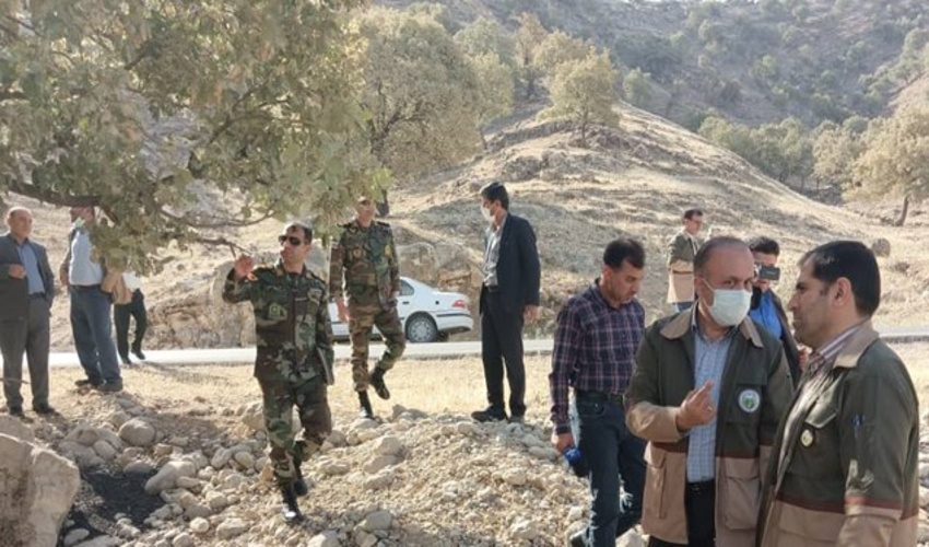 ابتلای ۶۰ هزار هکتار جنگل کهگیلویه و بویراحمد به آفت پروانه برگ خوار سفید و جوانه خوار بلوط