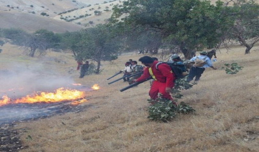 تامین 60 میلیارد ریال تجهیزات مقابله با آتش سوزی جنگل و مرتع در فارس