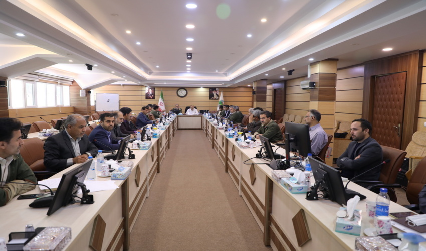 نشست مدیران عامل صندوق های حمایت از توسعه منابع طبیعی در سازمان 