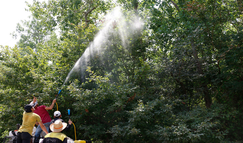 هشدار وقوع خطر آتش سوزی در مراتع و جنگل های آذربایجان غربی