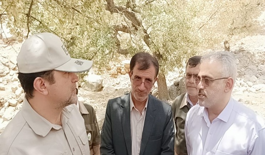 اختصاص ۱۶۸میلیارد ریال اعتبار برای مبارزه با پروانه برگ‌خوار سفید در کهگیلویه و بویراحمد 