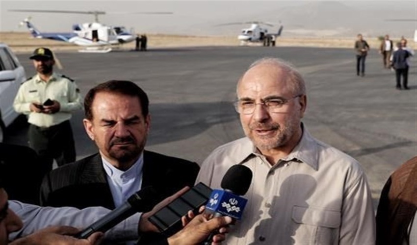 رییس مجلس: آفت درختان بلوط از دغدغه های دولت است