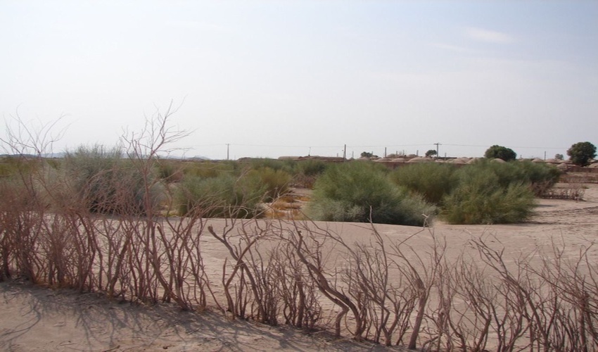 اجرای 958 کیلومتر بادشکن برای مهار فرسایش بادی در خراسان جنوبی