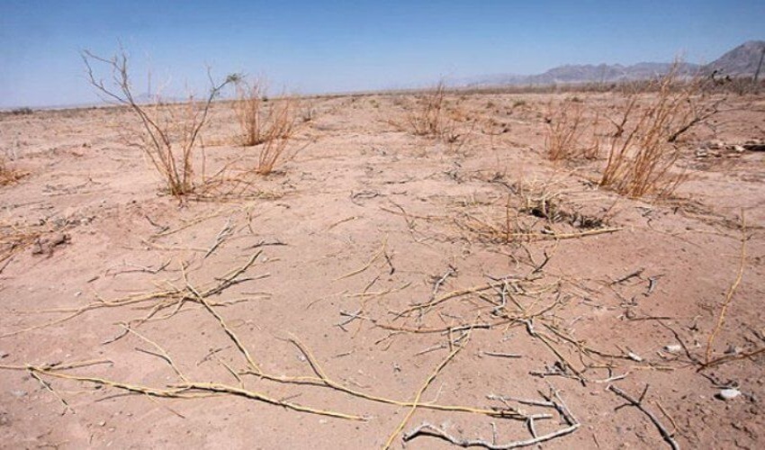 200 هکتار نهال کاری در مناطق بیابانی بویین زهرا انجام می‌شود