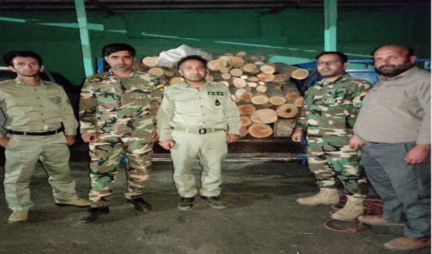 کشف و ضبط بیش از 2 تن چوب قاچاق در زنجان
