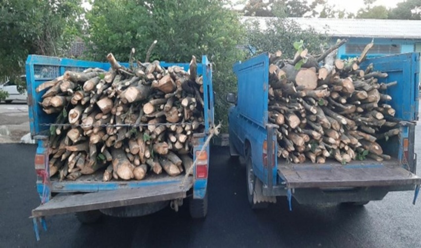 کشف 80 اصله قنداق و 2 تن هیزم قاچاق جنگلی در استان اردبیل