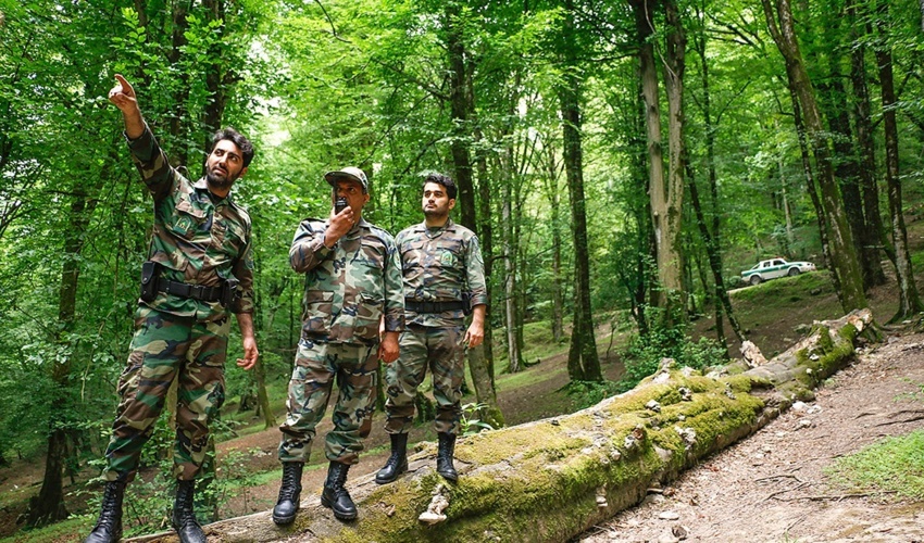 پیام سرپرست سازمان منابع طبیعی و آبخیزداری کشور به مناسبت روز جنگلبان