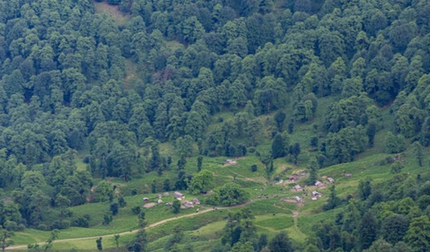 مدیرکل منابع طبیعی اردبیل: حفاظت از منابع طبیعی اردبیل بدون اغماض انجام می‌شود