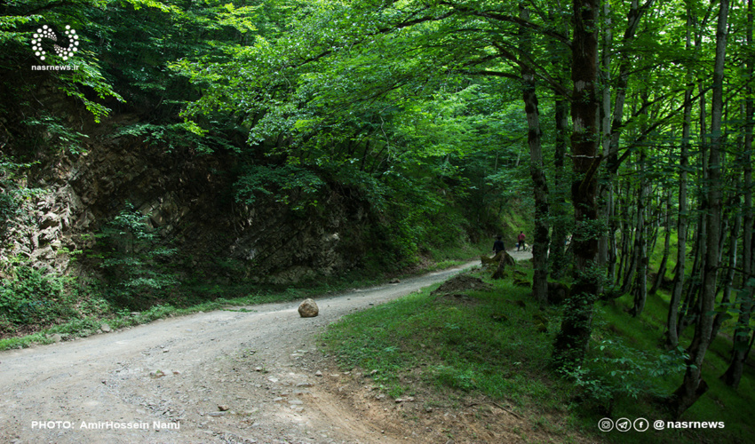 آذر شرقی/هرگونه تعرض به اراضی ملی ممنوع است/کنترل ۱۰۰ درصدی آفت پروانه دم قهوه‌ای در جنگل‌های ارسباران