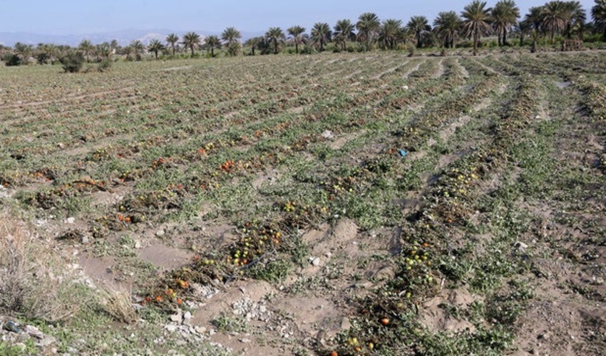 پرداخت 30 میلیارد تومان خسارت سیل به طور موقت به استان فارس