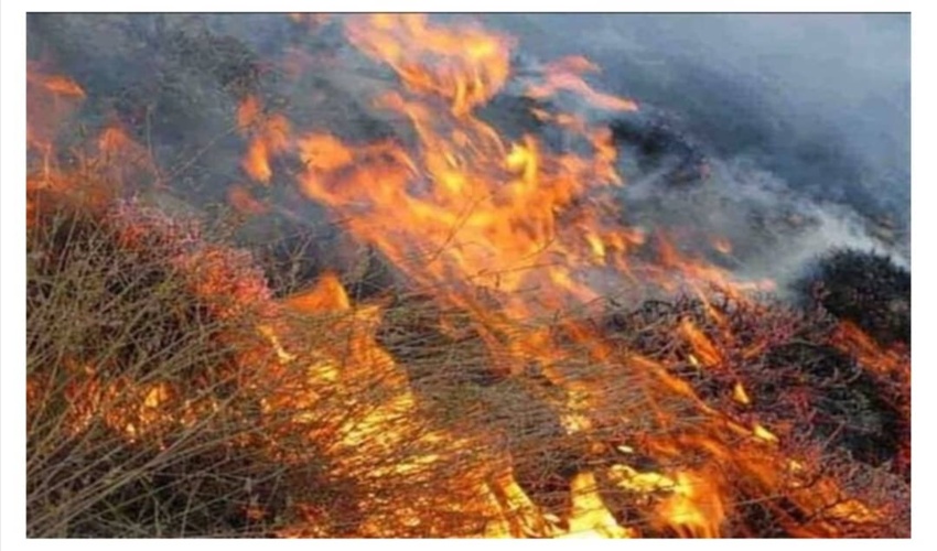 پیشگیری و کنترل آتش سوزی عرصه های منابع طبیعی استان همدان