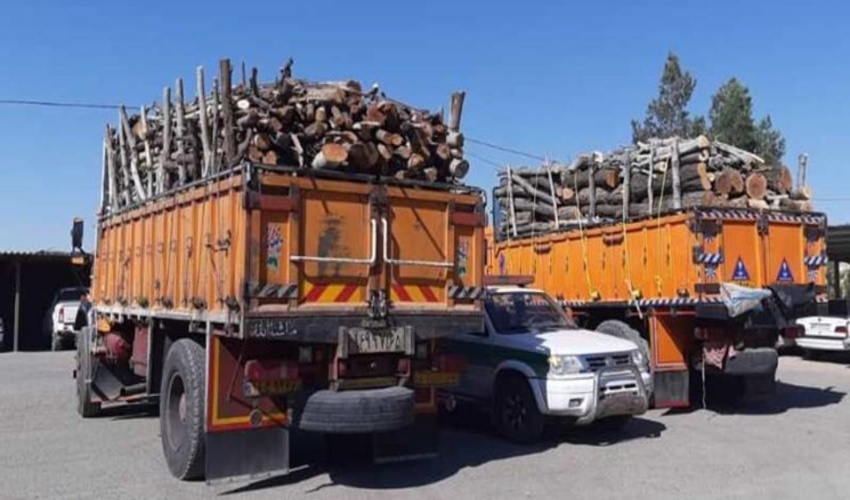 کشف بیش از 12 تن چوب قاچاق در چهارمحال‌ و بختیاری از ابتدای سال