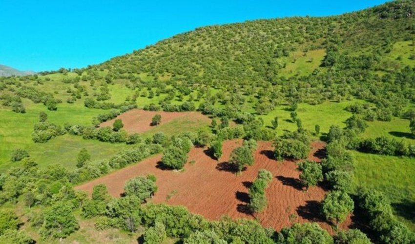 3364 هکتار اراضی ملی در آذربایجان غربی رفع تصرف شد