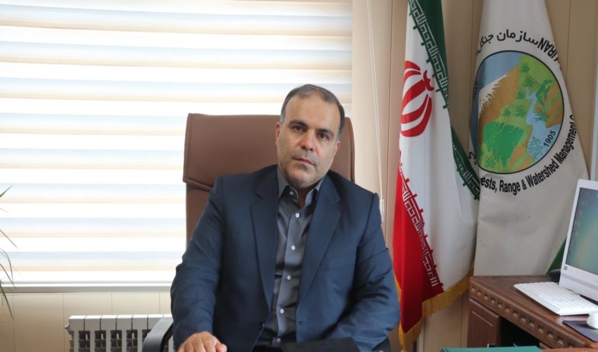 پایش جنگل های گیلان با 200 تیم حفاظتی/ تحقق 3300 هکتاری زراعت چوب