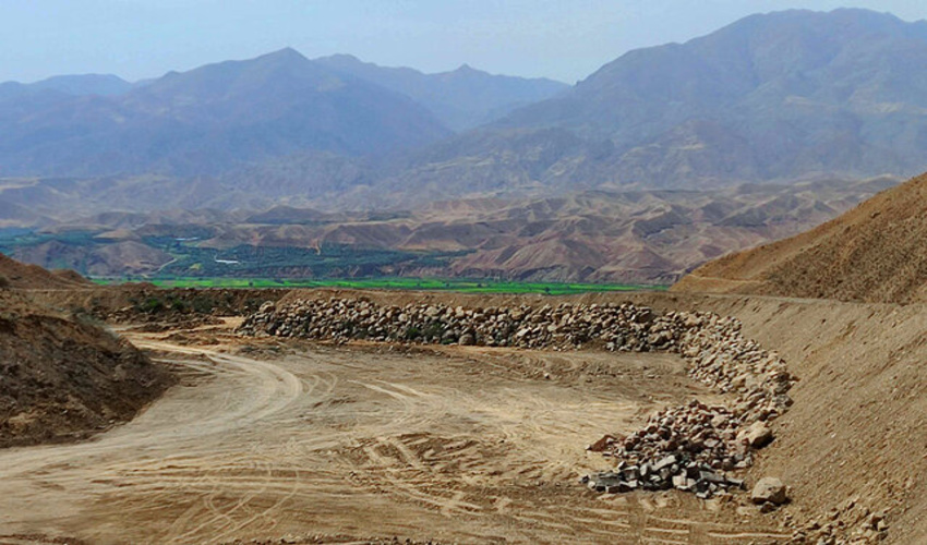 مبارزه با آفت ارس‌واش در 139 هکتار از جنگل‌های زنجان