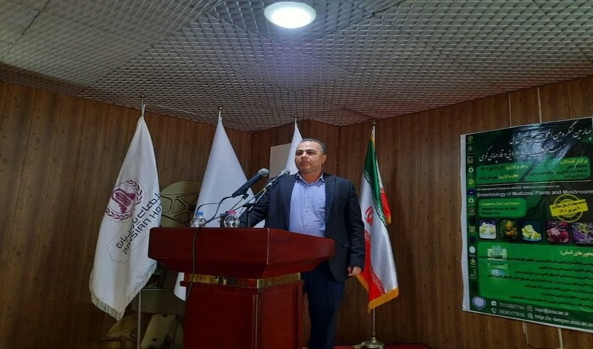 بیش از ۲ هزار گونه گیاه دارویی کشور در معرض خطر است