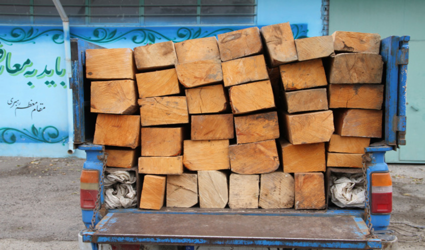 کشف 82 اصله الوار قاچاق جنگلی در استان اردبیل