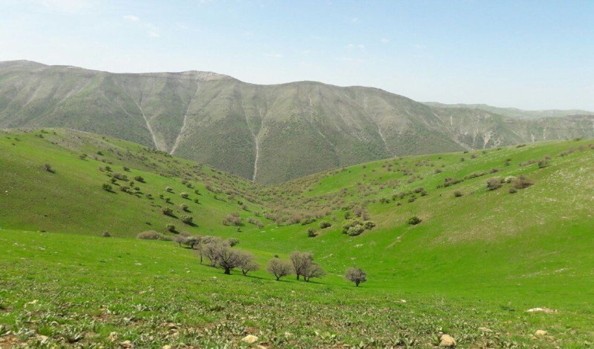 سالانه 100 هکتار «آتش بُر» در مراتع استان همدان ایجاد می‌شود