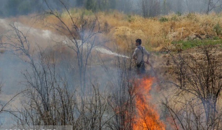علت ۹۰ درصد آتش‌سوزی‌ها در استان سمنان انسانی است