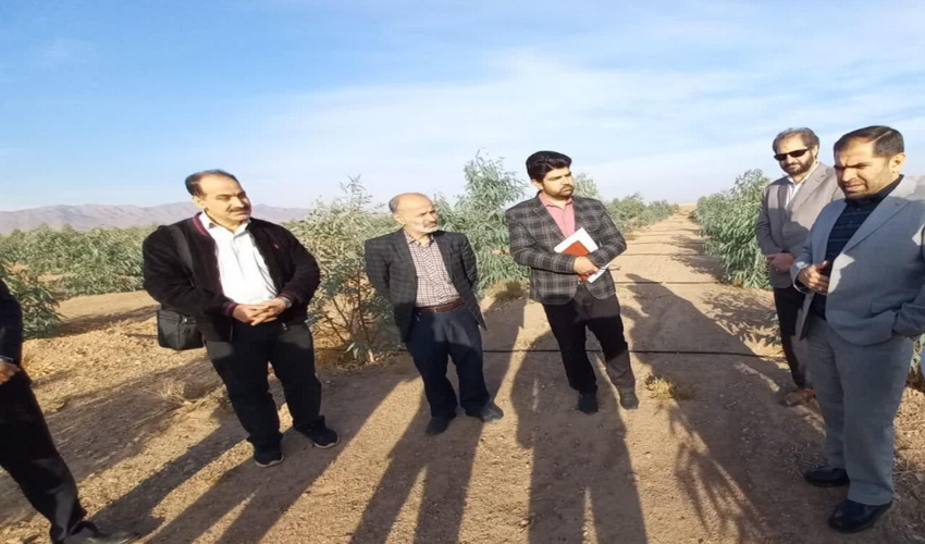 اردوی فرهنگی پایگاه مقاومت بسیج سازمان منابع طبیعی در کرمان برگزار شد