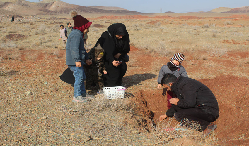 پویش نذرسبز مادری در قم اجرا شد