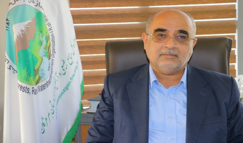 هرمزگان/ 500 هزار اصله نهال حرا امسال تولید و کاشته می‌شود