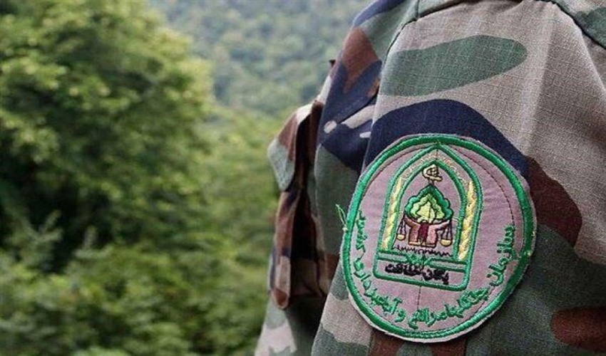 چهارمحال/ مامور یگان حفاظت لردگان در برخورد با قاچاقچیان چوب زخمی شد