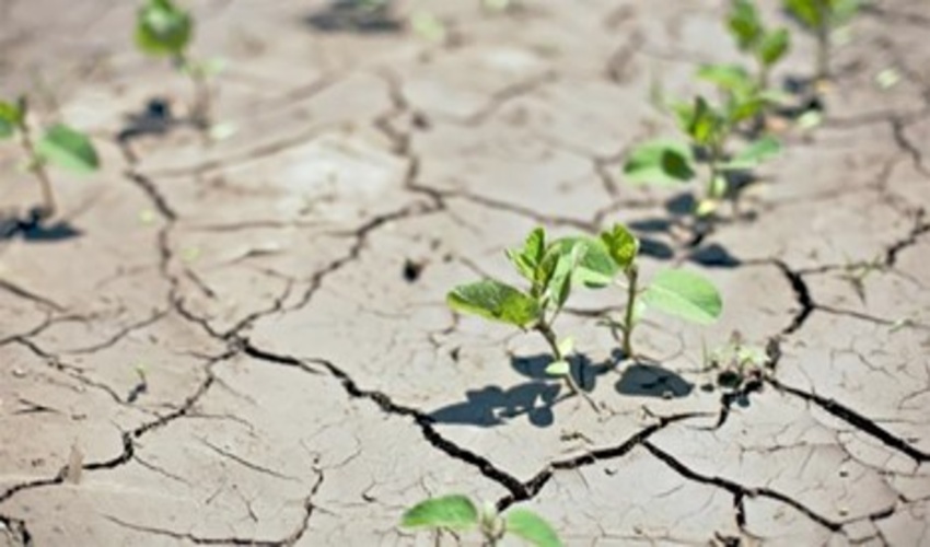 مقاله / عزم راسخ جهانی جهت عبور از معضل خشکسالی
