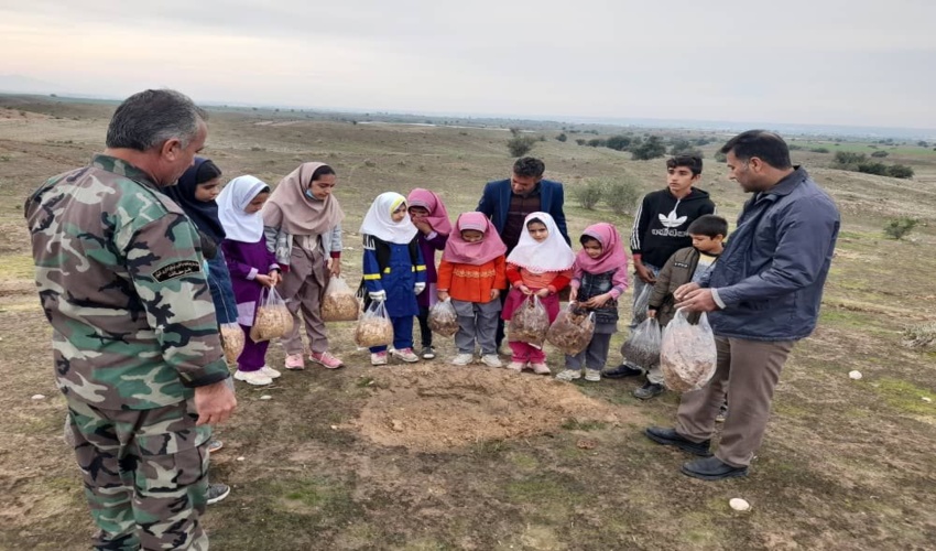 بوشهر/ اجرای برنامه مشارکتی بذرکاری در پروژه چاله فلسی روستای جره سعدآباد دشتستان