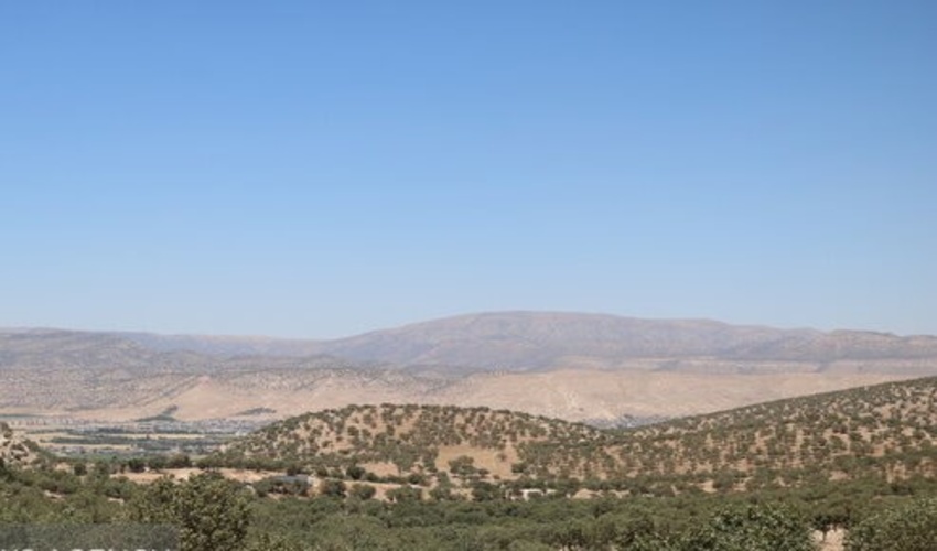 شناسایی 63 گونه جنگلی در چهارمحال و بختیاری 
