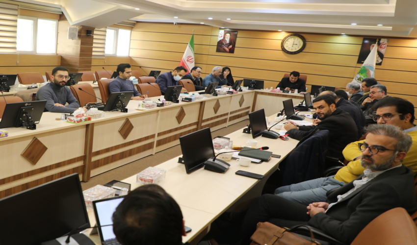 شرکت‌های دانش‌بنیان در کاشت درخت به کمک  منابع طبیعی می آیند