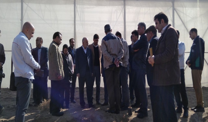  سالانه ۷ میلیون اصله نهال در اصفهان کشت می شود