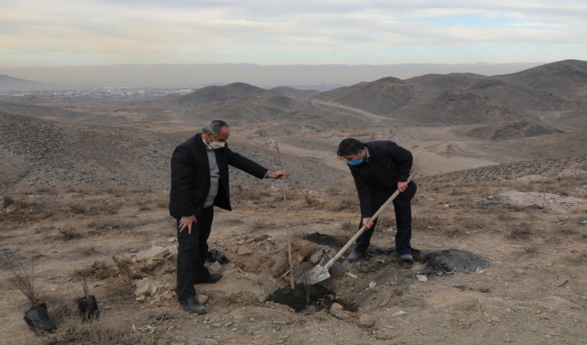 سمنان/طرح کنترل هرزآب در ۳۰۰ هکتار از بیابان‌های گرمسار اجرا شد