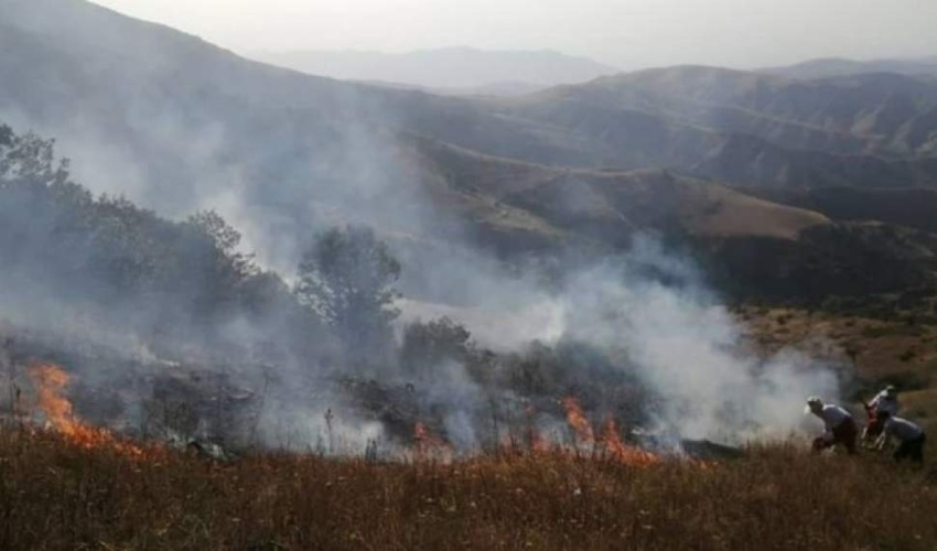 ساری/آتش در جنگل‌های شهیدآباد بهشهر و الندان ساری مهار شد