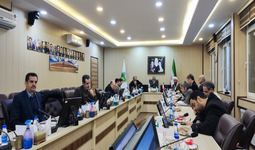 تاکید رییس سازمان منابع طبیعی بر همگرایی بخش تحقیقات و اجرا در کاشت درخت